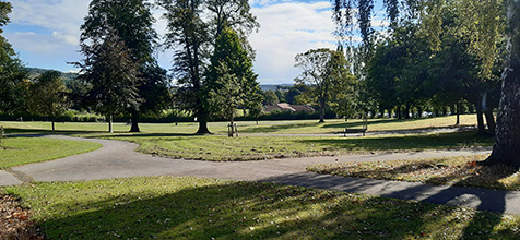 Trees, lawns and path running through Hillsborough Park