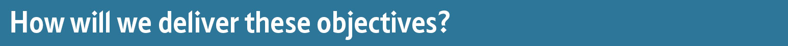 How will we deliver these objectives?