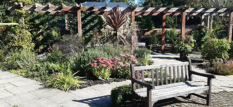 Walled garden with arched walkway over a patio planted with flowerbeds. A bench is placed to the side of the walkway.