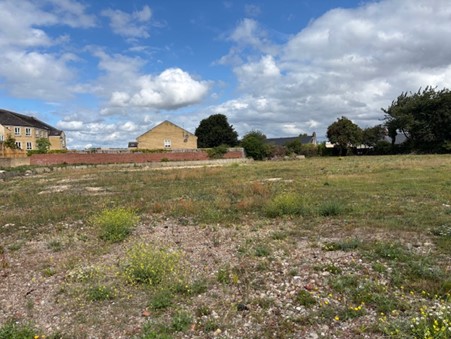 How Bolehill View looks currently, with grass overgrowing on a gravelly surface on a sunny day with clouds in the sky. There are trees and houses in the background,