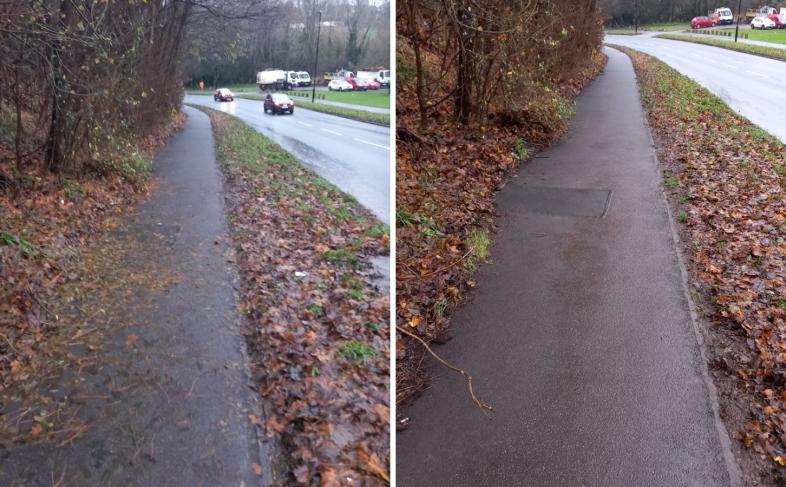 Before and after leaf clearing at Beaver Hill Road