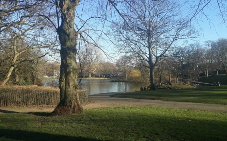 Image of Hillsborough Park. There is lake and trees and the sky is blue