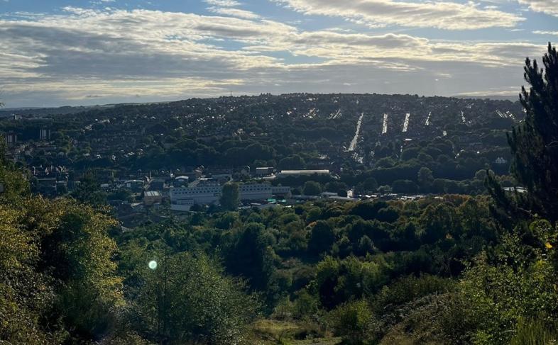 Image of a view over the city. Houses and buildings are in the background and trees and bushes in the foreground. The sky is blue with lots of clouds