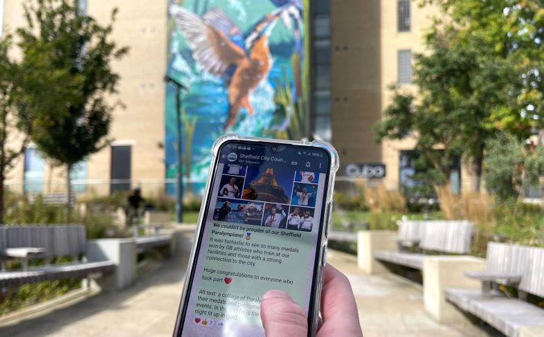A hand holding up a phone screen showing Sheffield City Council's WhatsApp Channel on a sunny day in Pounds Park.