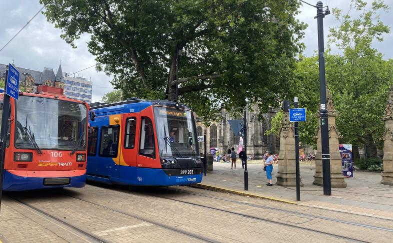 Two Sheffield Trams wait on the left hand side of the picture with a tree overhanging them and street lights to the right