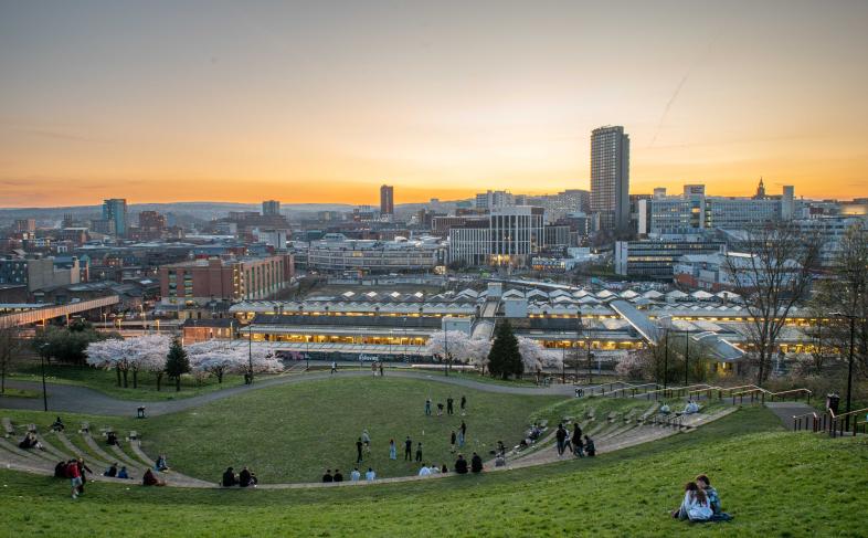 Sheffield Skyline 