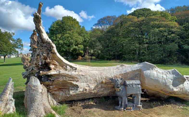 Metal dog sculpture in front of a fallen tree 