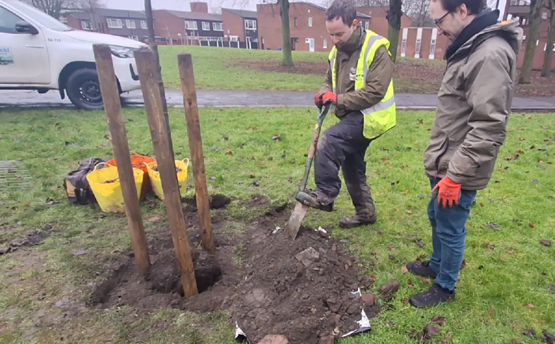Planting a tree 