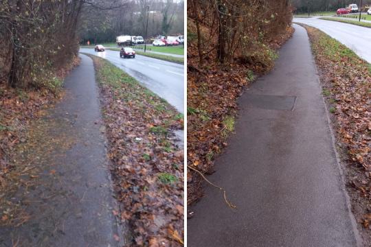 Before and after leaf clearing at Beaver Hill Road