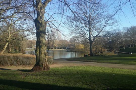 Image of Hillsborough Park. There is lake and trees and the sky is blue