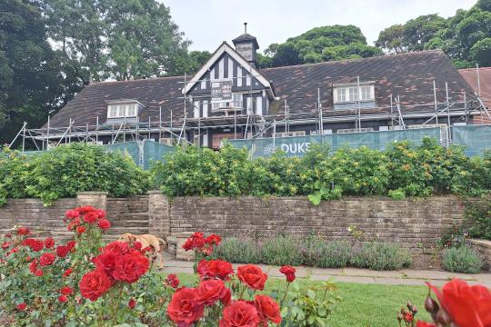 Rose Garden Cafe with red flowers and bushes in front