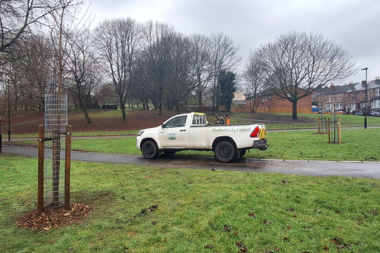 A Sheffield City Council van on a pathway in the middle of a field, with a few newly planted trees around it