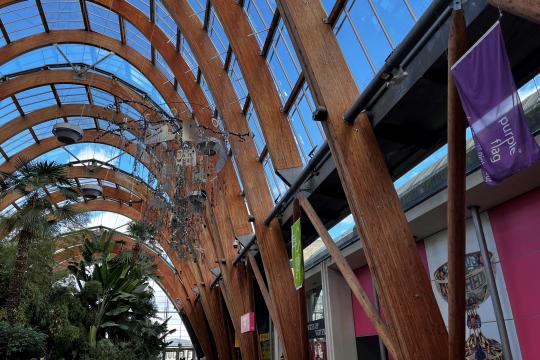 A purple flag hangs from the arched wooden and glass ceiling in Sheffield Winter Garden