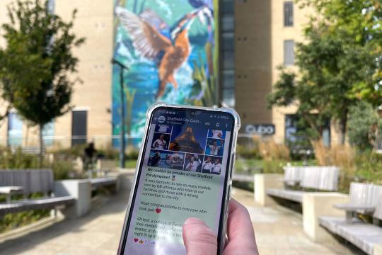 A hand holding up a phone screen showing Sheffield City Council's WhatsApp Channel on a sunny day in Pounds Park.