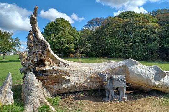Metal dog sculpture in front of a fallen tree 