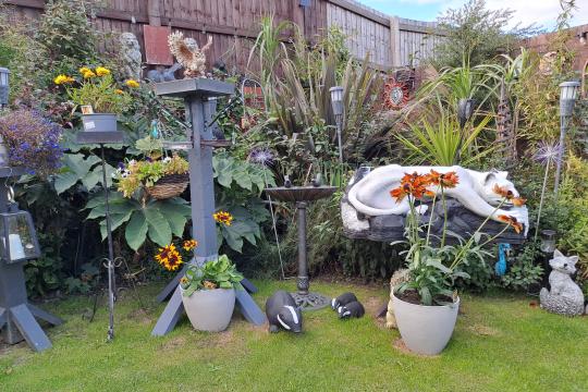 A packed garden in full bloom on a sunny day. An array of ornaments and plants are on display, both planted int he ground and plantm pots. A bird table is at the front, stood on lovely green grass.