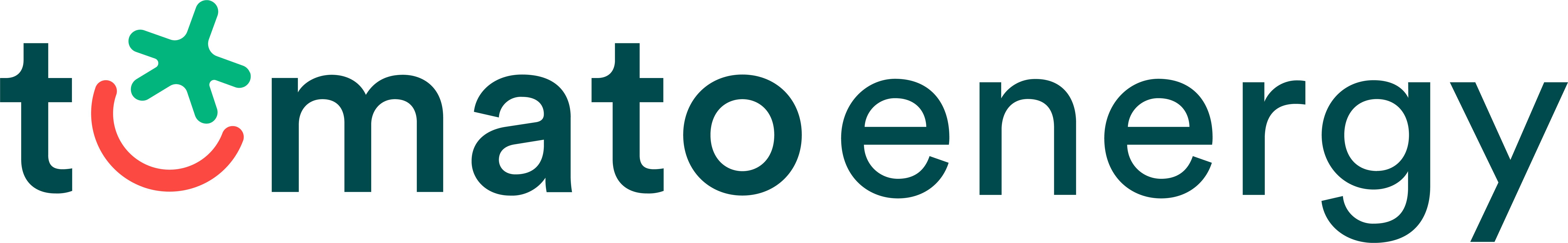 Text reading tomato energy with the O in tomato being a red curve with a green star above it to make a tomato shaped smile